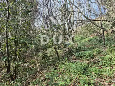 Baugrundstück 4.551 m², Čavle, Buzdohanj - Panoramablick - 6