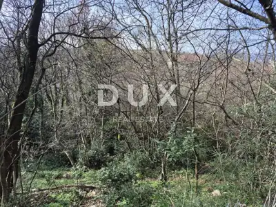 Baugrundstück 4.551 m², Čavle, Buzdohanj - Panoramablick - 2