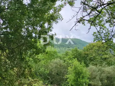 ISTRA, BUZET - Poljoprivredna zemljišta