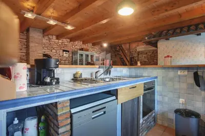 Stone house in Svetvinčenat, pool and landscaped yard - 3