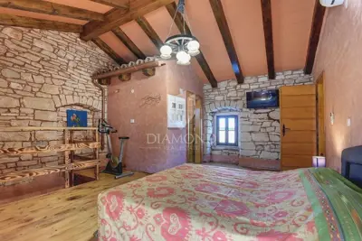 Stone house in Svetvinčenat, pool and landscaped yard - 6