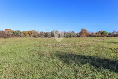 Građevinsko zemljište 821 m², Kanfanar okolica, pravilan oblik - 7