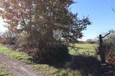 Građevinsko zemljište 821 m², Kanfanar okolica, pravilan oblik - 4
