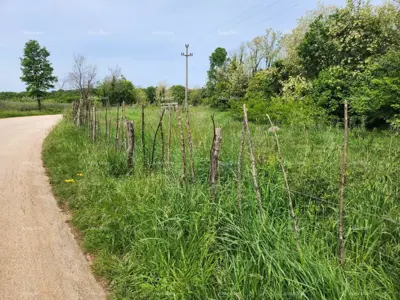 Građevinsko zemljište 12 000 m², Višnjan - pogled na more