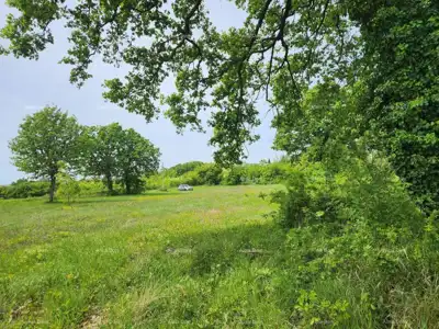 Građevinsko zemljište 12 000 m², Višnjan - pogled na more - 13