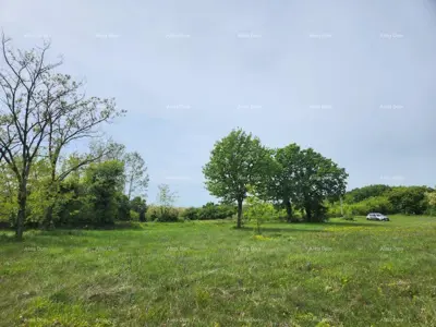 Građevinsko zemljište 12 000 m², Višnjan - pogled na more - 11