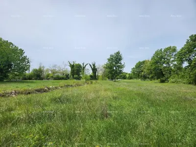 Građevinsko zemljište 12 000 m², Višnjan - pogled na more - 15