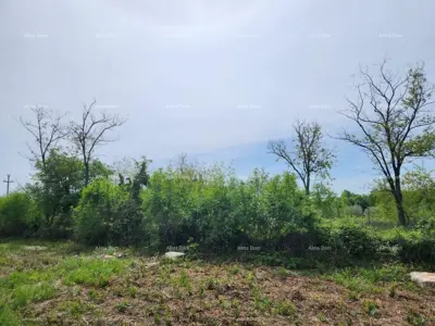 Građevinsko zemljište 12 000 m², Višnjan - pogled na more - 10