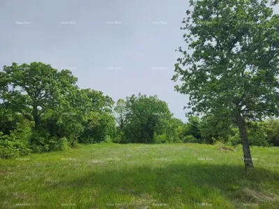 Građevinsko zemljište 12 000 m², Višnjan - pogled na more - 5