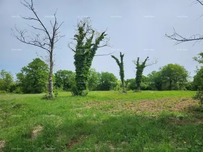 Građevinsko zemljište 12 000 m², Višnjan - pogled na more - 6