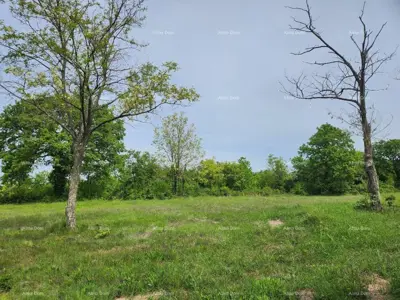 Građevinsko zemljište 12 000 m², Višnjan - pogled na more - 8