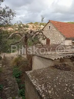 Stone house, Dol, Hvar, plot 884 m², for renovation - 5