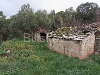 Stone house, Dol, Hvar, plot 884 m², for renovation - 9
