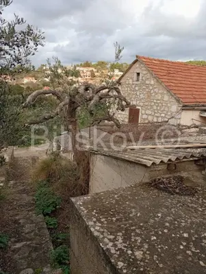 Stone house, Dol, Hvar, plot 884 m², for renovation - 5