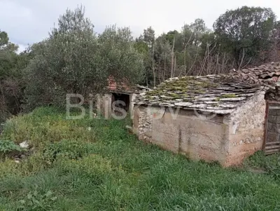 Stone house, Dol, Hvar, plot 884 m², for renovation - 9