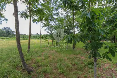 Land 1,605 m², Kanfanar - quiet location - 3