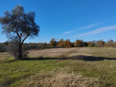 *Poljoprivredno zemljište u Butkovićima 5864 m²*