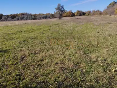 Agricultural land in Butkovići 5,864 m² - 3