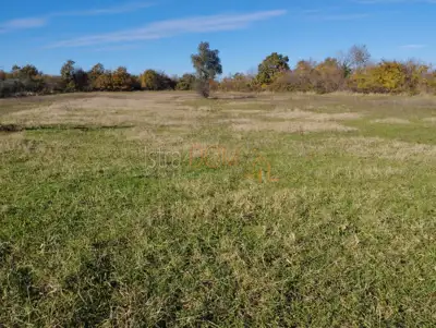 Agricultural land in Butkovići 5,864 m² - 5