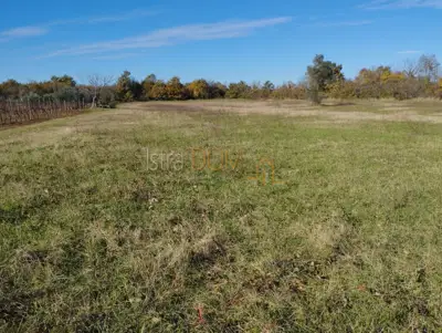 Agricultural land in Butkovići 5,864 m² - 6