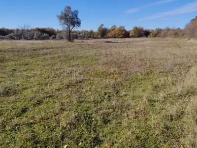 Agricultural land in Butkovići 5,864 m² - 4