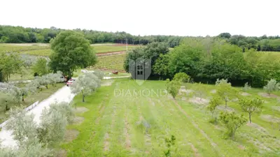 Okolica Poreča, građevinsko zemljište na rubu naselja