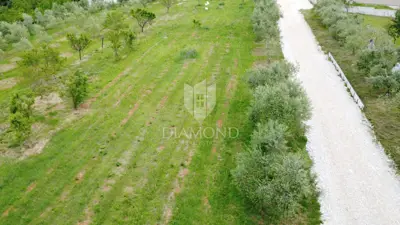 Okolica Poreča, građevinsko zemljište na rubu naselja - 5
