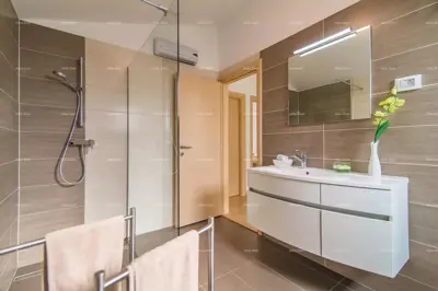 Kuća u Pomeru, bazen 7 x 4 m i velika terasa - 8