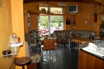 Poslovni prostor 140 m², Knežija - opremljen i funkcionalan - 3