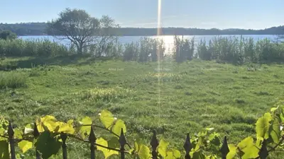 Kuća 348 m², Pomer, prvi red do mora i velika parcela - 4