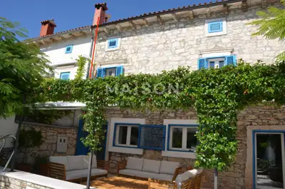 Stone villa 200 m², Svetvinčenat - pool and garden