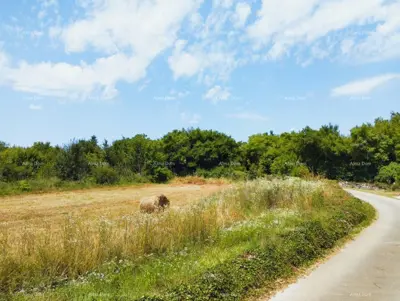 Baugrundstück 504 m², Svetvinčenat, Baugenehmigung - 14