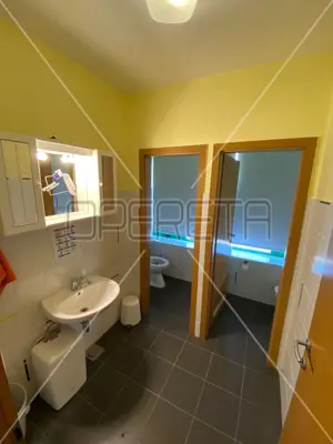 Commercial space 669 m², Savica - private parking lot - 6