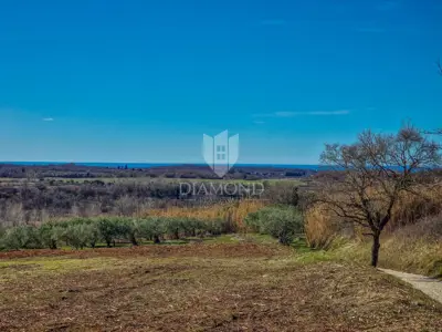 Land 3,104 m², Buje - open sea view - 5