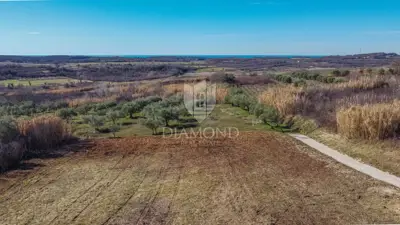 Land 3,104 m², Buje - open sea view - 11