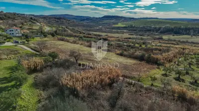 Land 3,104 m², Buje - open sea view