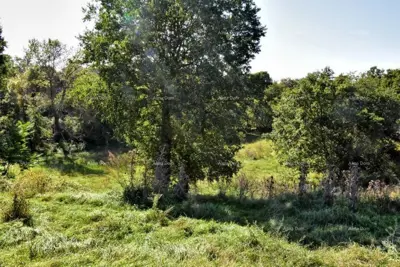 Baugrundstück, Štokovci, 9 270 m² und ruhige Lage - 10