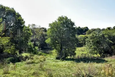 Baugrundstück, Štokovci, 9 270 m² und ruhige Lage - 3