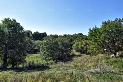 Građevinsko zemljište, Štokovci, 9 270 m² i mirna lokacija