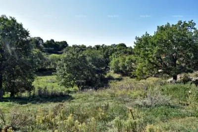 Baugrundstück, Štokovci, 9 270 m² und ruhige Lage - 8