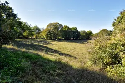 Baugrundstück, Štokovci, 9 270 m² und ruhige Lage - 6