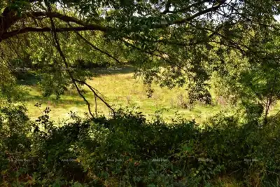 Baugrundstück, Štokovci, 9 270 m² und ruhige Lage - 12