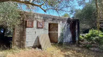 Haus zum Kauf in Kornati, 61 m² - 6