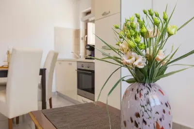 House 175 m², Buzet - view of the city and greenery - 2