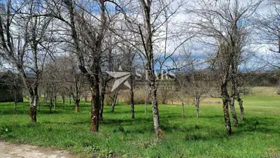 Agricultural land 8,828 m², Trojvrh - orchard and meadow - 4