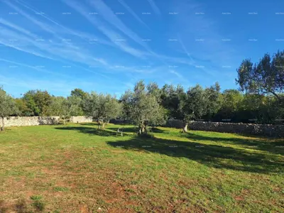 AGRICULTURAL land near the sea, Peroj-sale! - 3
