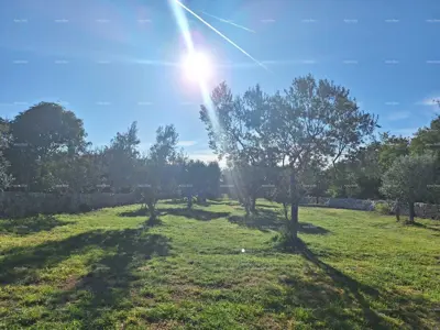 AGRICULTURAL land near the sea, Peroj-sale! - 6