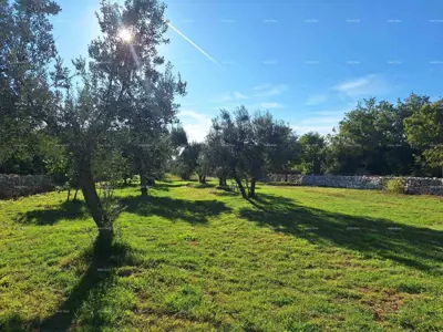 AGRICULTURAL land near the sea, Peroj-sale! - 2