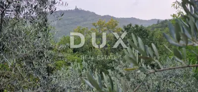Zemljište 9.054 m², Gračišće - pogled na prirodu i mir - 16