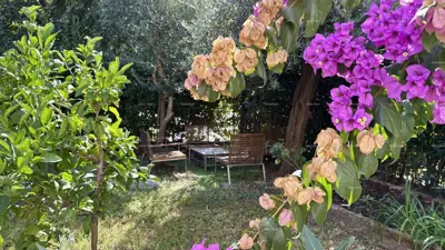 Wohnung 55 m², Pula Centar, ruhige Lage - 19